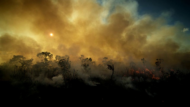 塞拉多草原燃烧着浓烟。视频下载