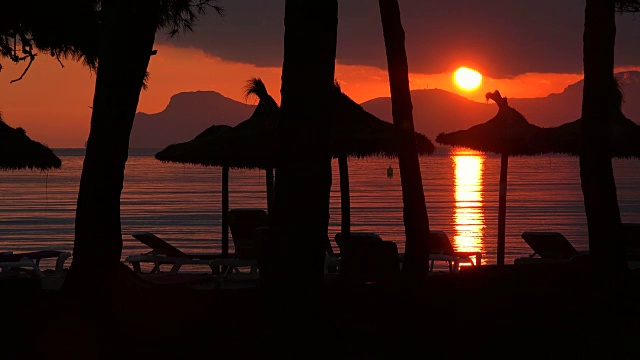 早晨的普拉亚德穆罗海滩和松树，马略卡岛，巴利阿里群岛，西班牙，地中海，欧洲视频素材