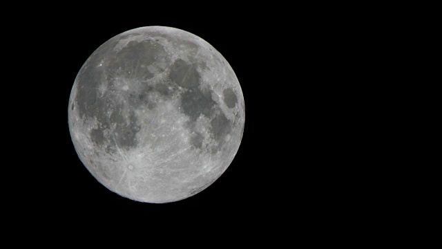 满月，一只鸟在月亮的背景下飞翔视频下载