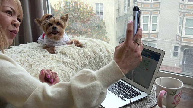 年轻女子与她的哈巴狗移动网络在家庭办公室与城市景观视频下载
