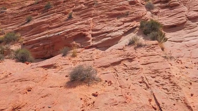运动在国家保护区红岩峡谷，内华达州在莫哈韦沙漠视频素材