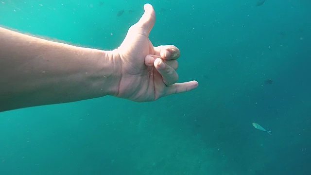 一个浮潜者和鱼一起游泳，做了一个友好的“沙卡”手势并指了指。——慢动作视频素材