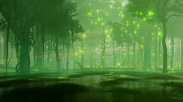 神秘的萤火虫灯在沼泽夜森林视频素材