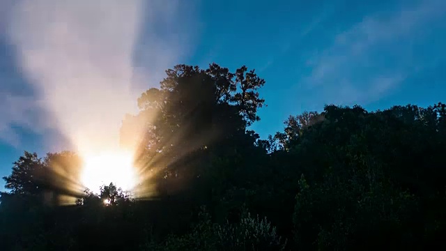 阳光通过森林与流动的雾的时间推移视频视频素材