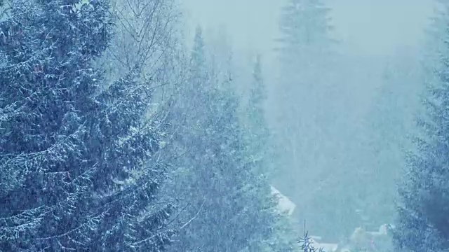 下雪的风景视频素材