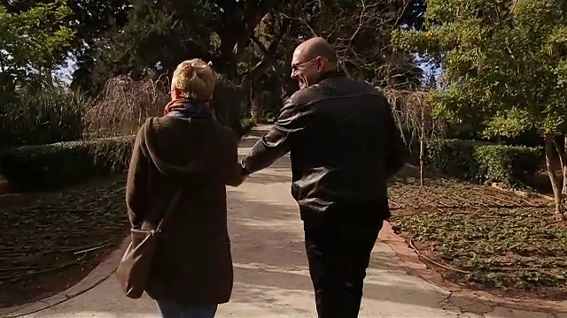 一对老年夫妇微笑着散步视频素材