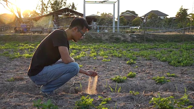 在田里检查土壤的人视频素材