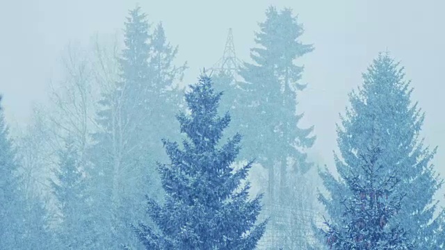 冬天的风景视频素材