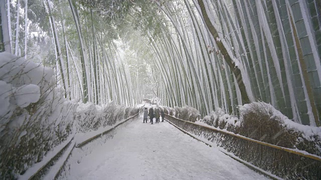 京都著名的竹林正下着大雪视频下载