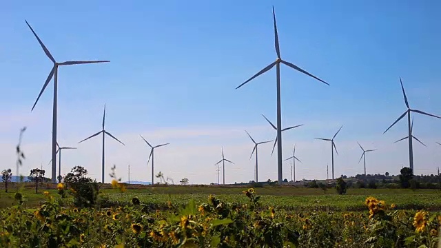 太阳花田里的风力涡轮机，替代能源视频下载