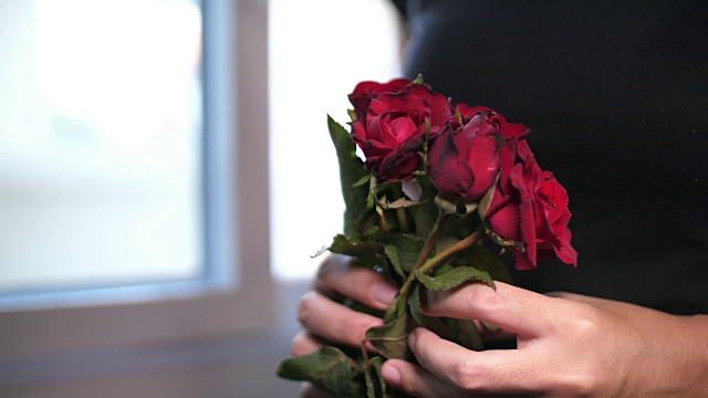红玫瑰，情人节视频素材