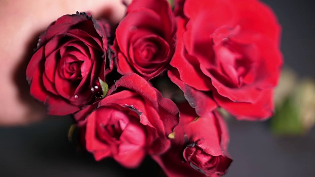 红玫瑰，情人节视频下载