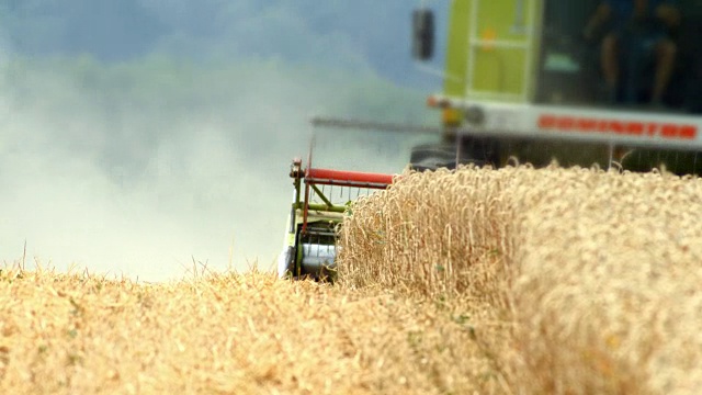 联合收割机收割小麦视频下载