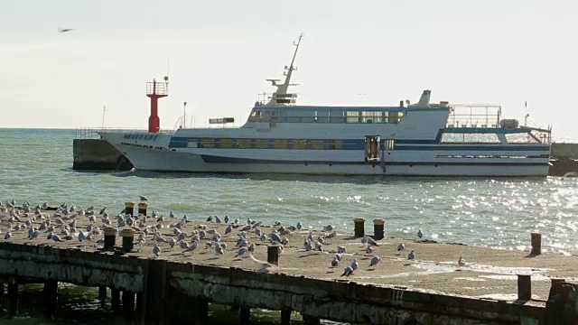 码头和海上船只的景色视频素材