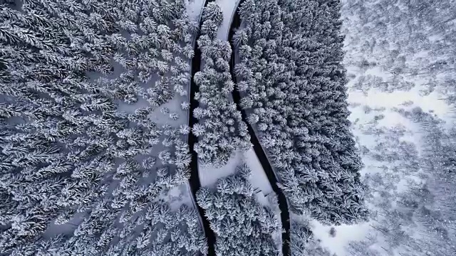 空中鸟瞰图上的发夹弯转弯公路在山区积雪覆盖的冬季森林。白松树林。雪街道道路建立。全高清无人机飞行直线下降建立视频素材