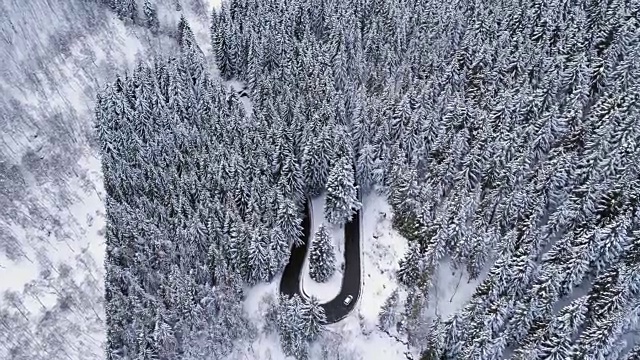 在山区冬季积雪覆盖的森林中，汽车在发夹弯道上行驶的前俯视图。白松树林。雪街道道路建立。全高清无人机直飞视频素材