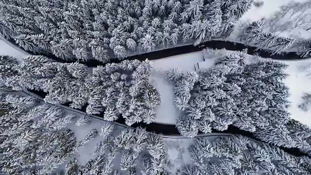 高空鸟瞰汽车行驶在山区冬季积雪覆盖的森林的发夹弯道上。白松树林。雪街道道路建立。全高清无人机直飞视频素材