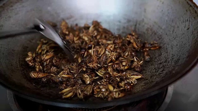 烤蟋蟀，锅里炸昆虫，做饭吃视频素材
