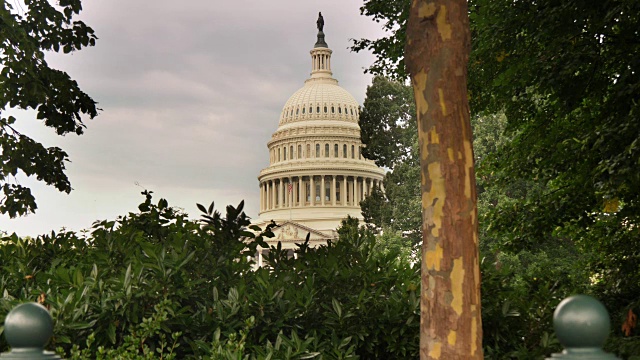 通过树木和灌木丛看到的国会大厦圆顶的观点视频素材
