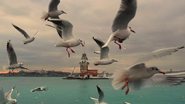 伊斯坦布尔海峡的视频下载