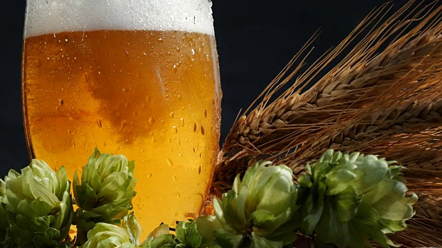 啤酒杯与麦芽和啤酒花。往玻璃杯里倒啤酒。视频素材
