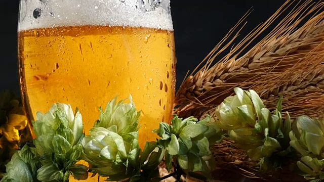 啤酒与啤酒花和大麦。泡沫正在上升。放大。视频素材