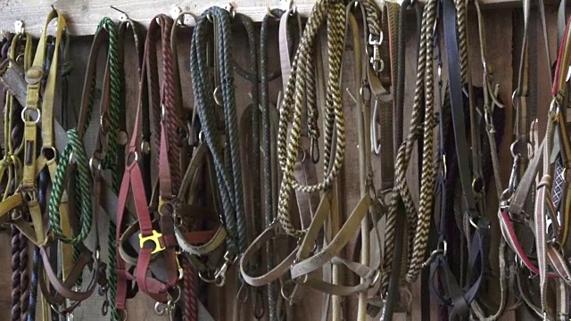 马笼头挂在谷仓里。绳子和缰绳挂在稳定的墙上视频下载