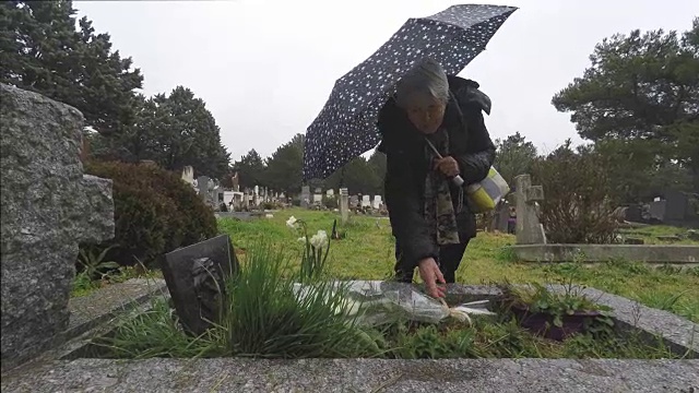 墓地里的女人视频下载