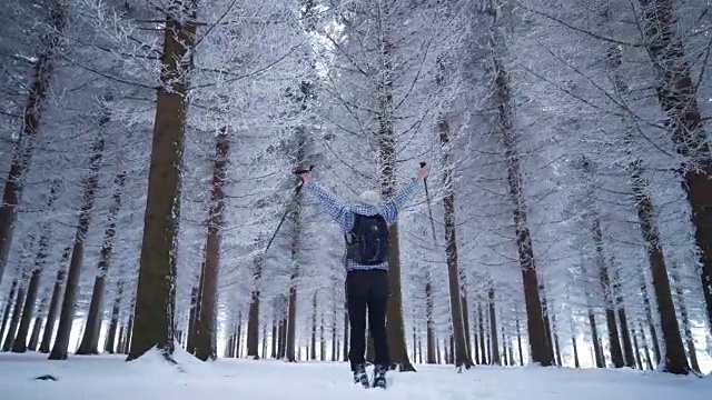 在冬季森林中行走的女性徒步旅行者视频下载