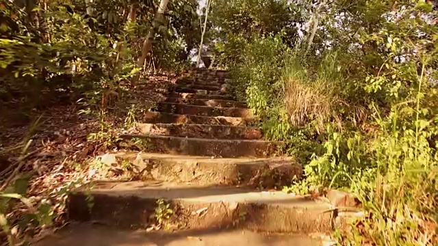 热带公园-石头和混凝土楼梯视频下载