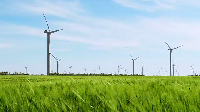 发电机组的风车在绿色的麦田里生产视频素材