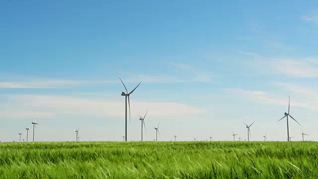 发电机组的风车在绿色的麦田里生产视频素材