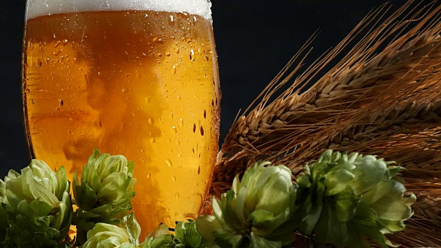 啤酒杯与麦芽和啤酒花。往玻璃杯里倒啤酒。视频素材