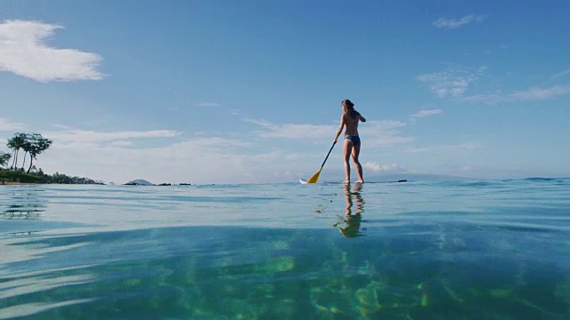 女子站立式桨板视频素材
