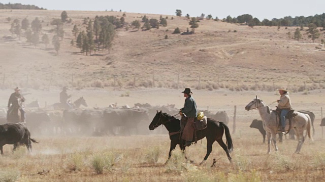 牛仔在美国犹他州的养牛场/鱼湖骑马的慢动作跟踪拍摄视频素材