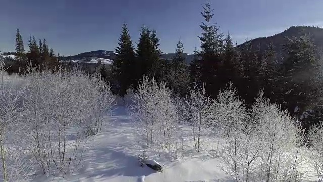 飞过冰雪皑皑的冬季景观。空中视频素材