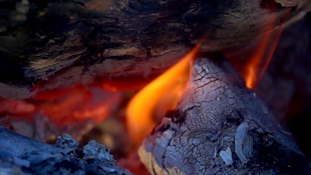 火火的概念。靠近火焰和木炭的灰烬视频素材