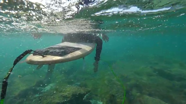 水下慢动作:男性冲浪者坐在冲浪板上的清水Lobos视频素材