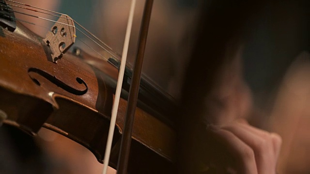 音乐家演奏小提琴视频下载