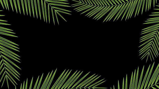 椰子树叶子透明框架移动的风循环和复制空间动画4K在黑色背景和alpha通道视频素材