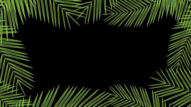 椰子树叶子透明框架移动的风循环和复制空间动画4K在黑色背景和alpha通道视频素材