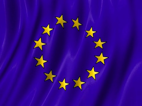 挥舞欧盟旗帜(环式PAL)视频素材
