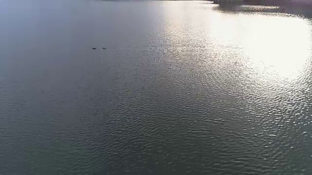 日落时分，无人机拍摄到两只鸭子在大湖中游泳视频素材