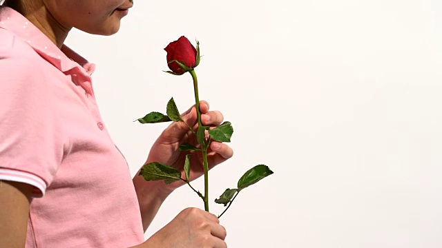 女人很高兴有红玫瑰，在情人节，女人穿粉红色马球衫在白色孤立的背景。视频素材