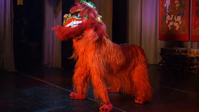 红狮舞在中国新年的节日视频素材