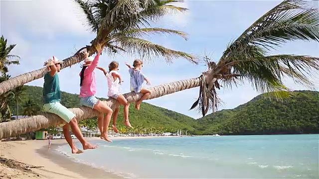 年轻的家庭度假有很多乐趣在棕榈树上视频素材