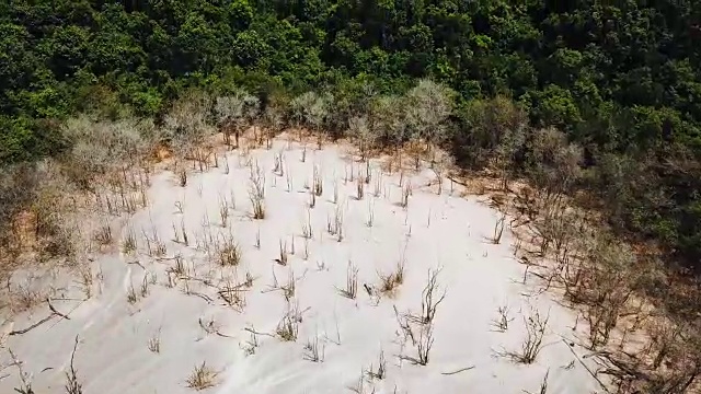 泰国那拉提瓦的枯树鸟瞰图视频素材