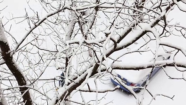 在一个树木被雪覆盖的冬季公园里，一场雪下的两辆车。前视图。视频素材