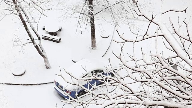 汽车和木桌下的一场雪在一个冬天的公园与积雪覆盖的树木。前视图。视频素材