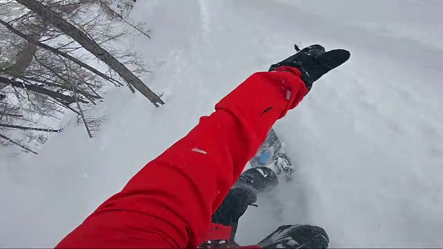 在刚刚落下的雪上享受免费滑雪的乐趣视频素材